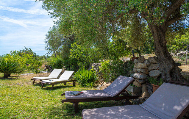 Sa Coma Caimari - Photo 37