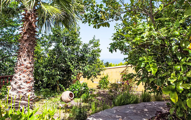 Camino La Candelaria - Photo 14