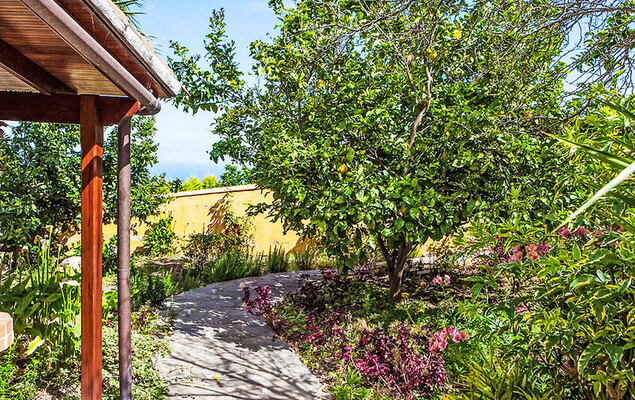 Camino La Candelaria - Photo 15