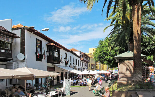 Camino La Candelaria - Photo 21